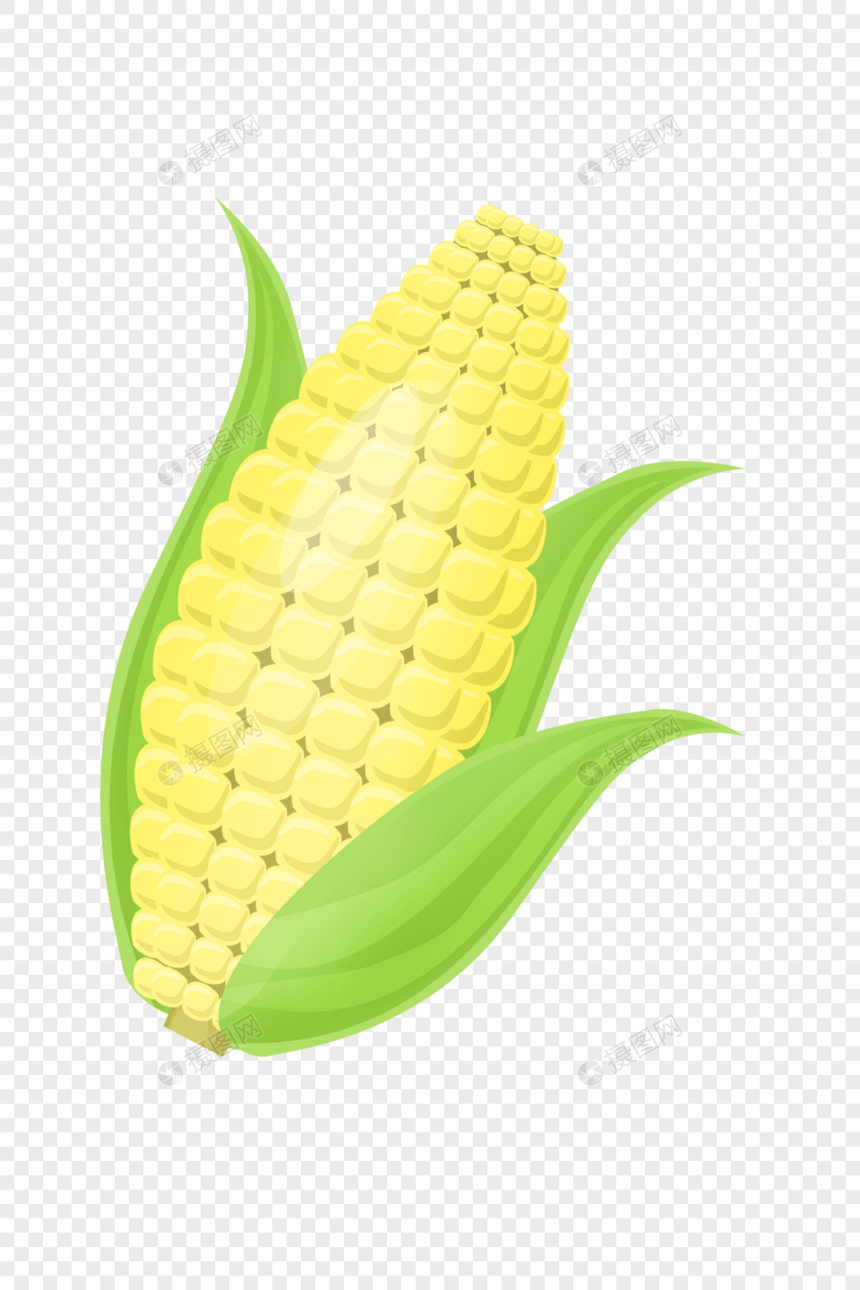 玉米收获了图片