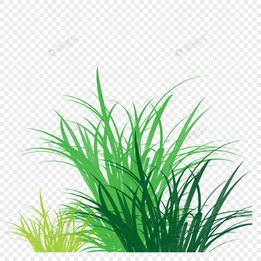 春夏绿草茵茵png免抠元素绿化植物图片