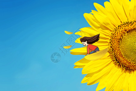 花朵设计向日葵 GIF高清图片