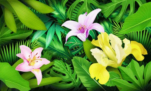茶字3d素材植物花奔茶插画gif动图高清图片