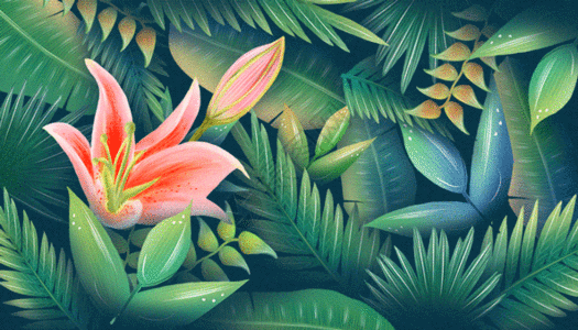 花卉叶子植物插画gif动图图片