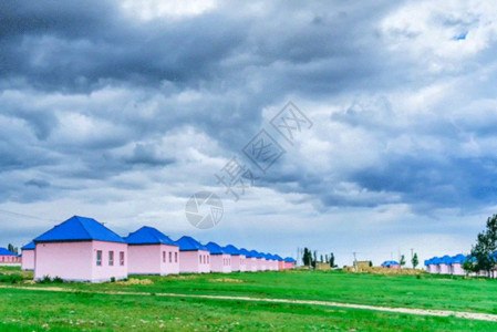 草覆盖道路新疆草原自然风光gif动图高清图片
