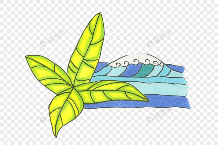 海浪与热带植物图片