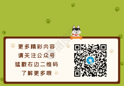 宠物商城素材卡通手绘狗狗清新个性微信二维码引导关注GIF高清图片