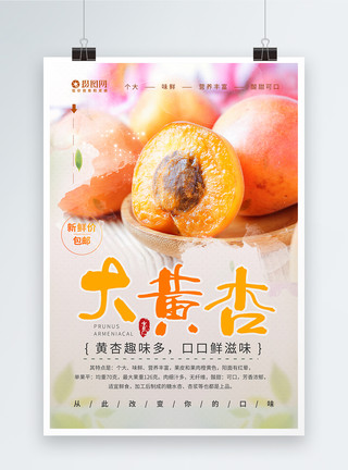 酸甜杏子夏日水果大黄杏海报设计模板