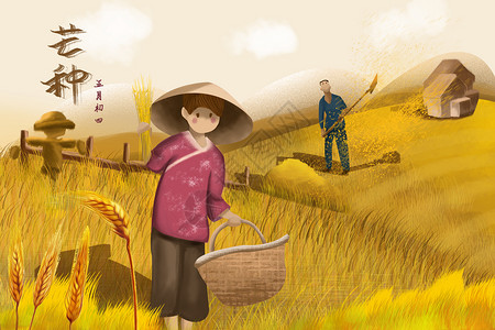 芒种节气农民收获种植麦穗六月高清图片素材