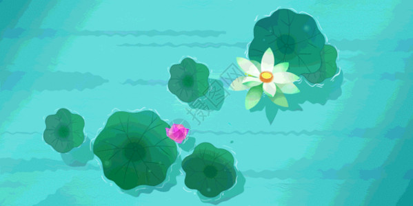 绿色白色池塘荷叶荷花鲤鱼 gif动图高清图片