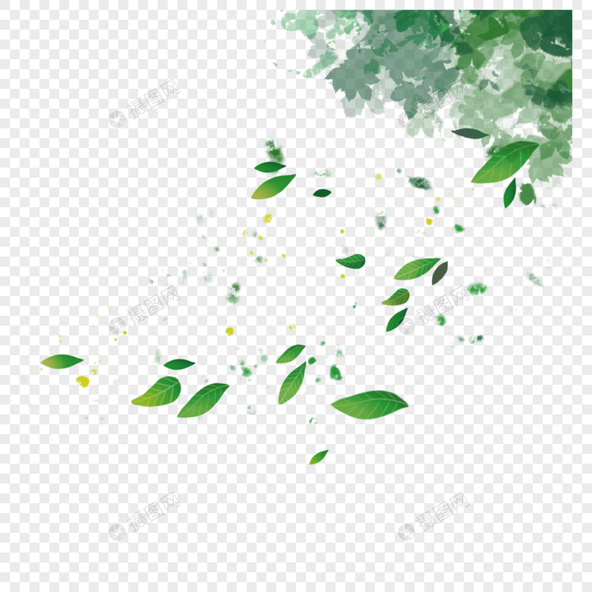 叶子树叶漂浮图片