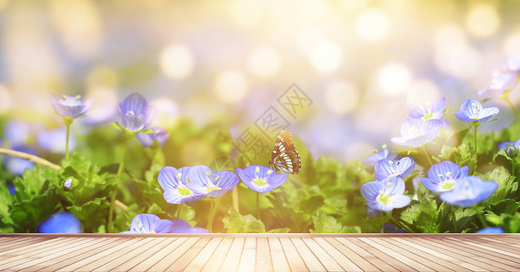 唯美紫色花朵创意春天背景设计图片
