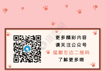 彩宝微商素材卡通手绘粉色可爱猫咪小清新微信二维码引导关注GIF高清图片