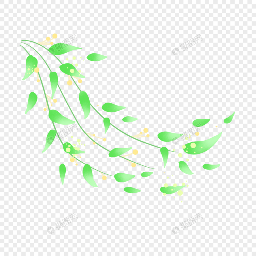 清新夏天绿色植物背景图片