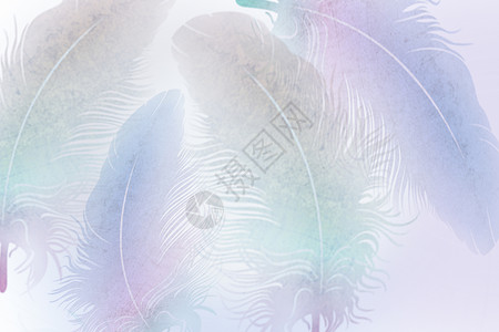 鱼背景墙彩色羽毛设计图片