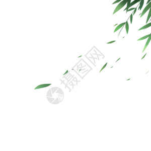 绿叶滴水竹叶gif高清图片
