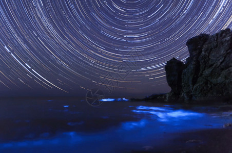 海鸥与海风景图星轨与荧光海gif高清图片