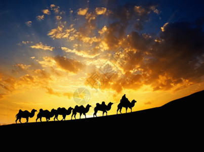 海上落日夕阳下的沙漠和骆驼剪影gif高清图片