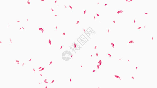 粉色热带鱼粉色花瓣gif高清图片