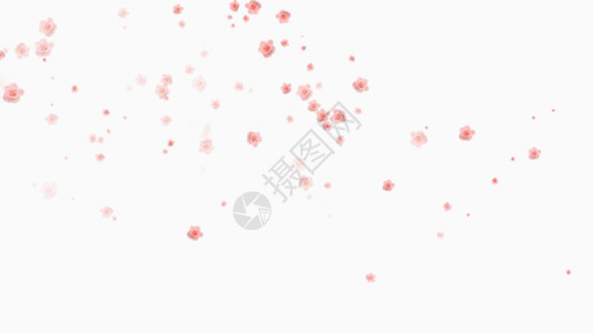 樱花国画素材花瓣gif高清图片