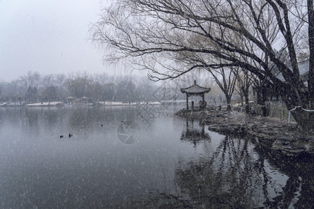 雪中公园雪gif动图高清图片