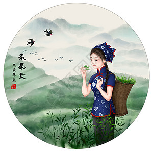 大茶树采茶女插画