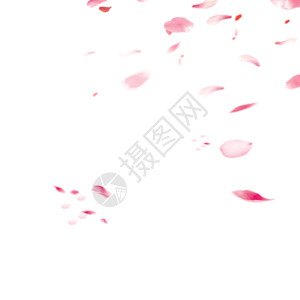 红色花朵装饰花瓣gif高清图片