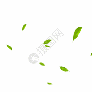绿色漂浮春季树叶装饰gif图片