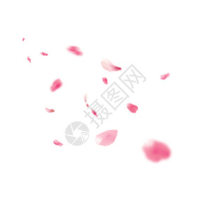 粉色小桃花花瓣gif高清图片