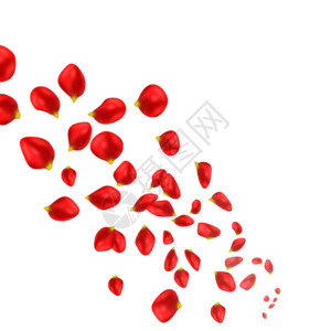 整齐的红玫瑰散落的玫瑰花瓣gif高清图片