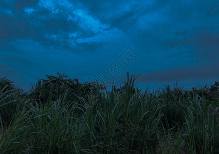 阴天天空素材暴风雨前深蓝忧郁草丛gif动图高清图片