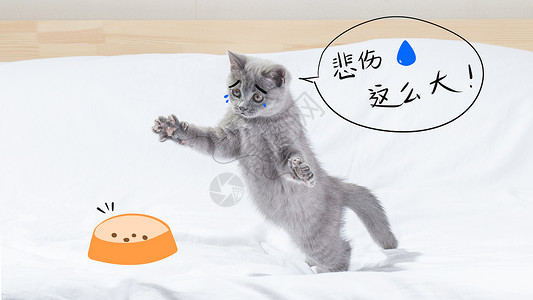 委屈小猫猫咪没猫粮悲伤那么大插画