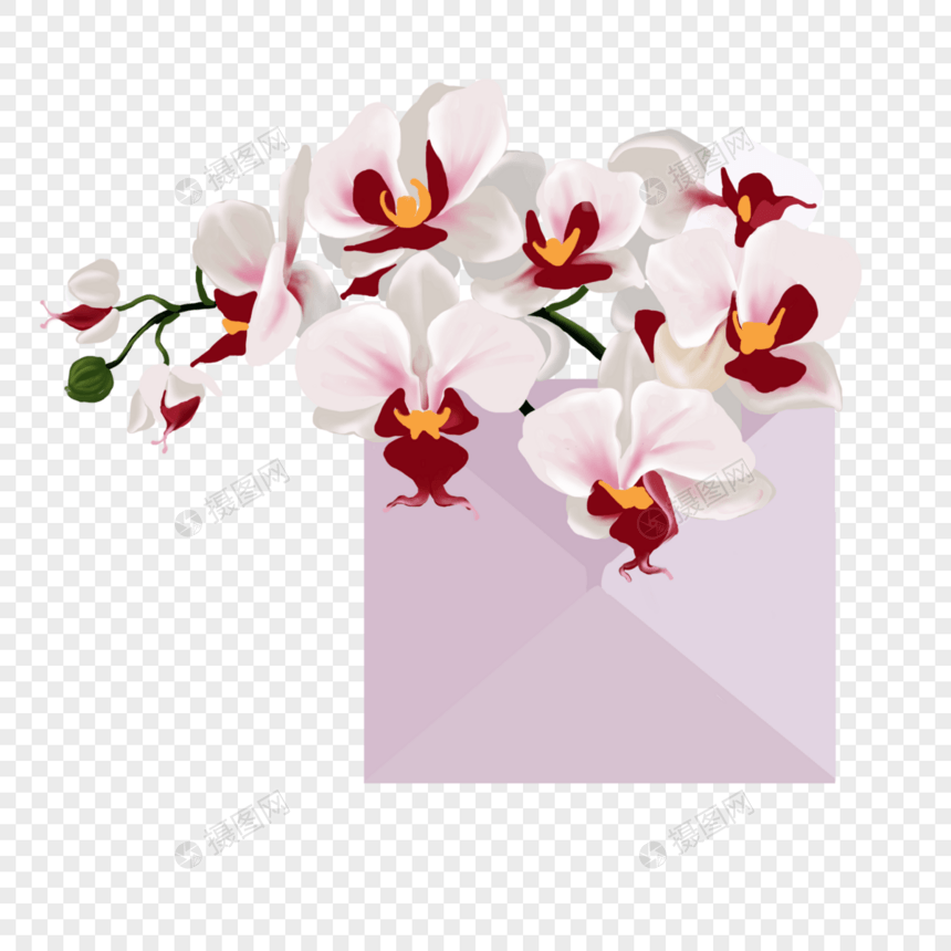 花卉信件图片