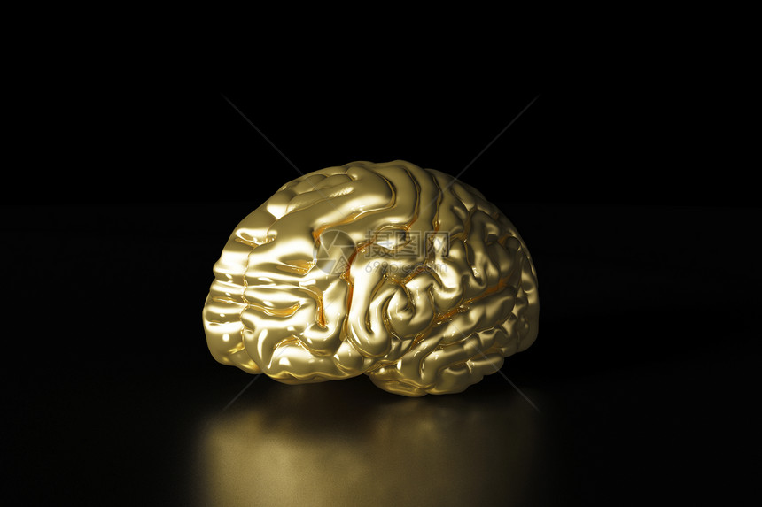 创意金属大脑模型图片