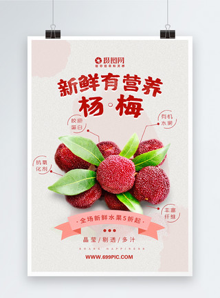 酸甜的水果新鲜营养杨梅水果海报模板