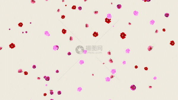 牡丹花粒子 牡丹掉落 牡丹 牡丹花 花朵 花掉落 花背景GIF图片