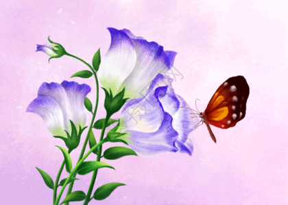 蝴蝶花卉矢量图洋桔梗GIF动图高清图片