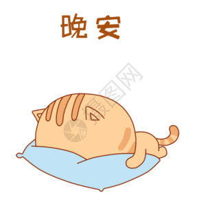 猫睡觉小肥猫表情包gif高清图片