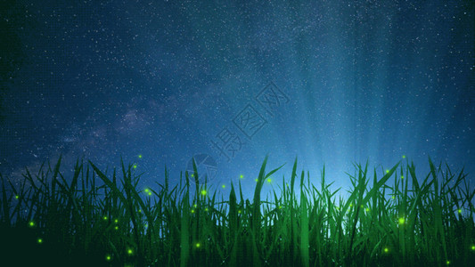 绿油油香蜂草星空下的田野gif动图高清图片