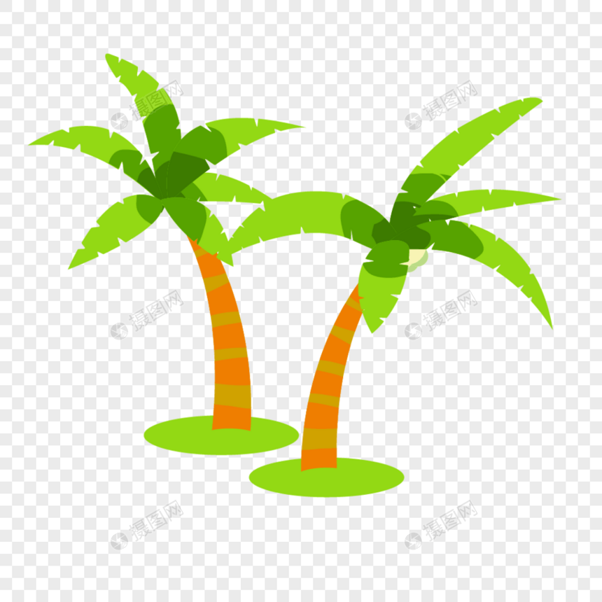椰子树植物图片