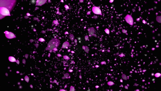 紫色豌豆花唯美粒子花海GIF高清图片