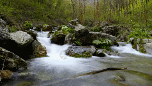 延时山涧溪水GIF图片