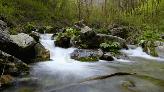 山间风景背景延时山涧溪水GIF高清图片