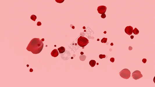 红色玫瑰花瓣粒子GIF图片