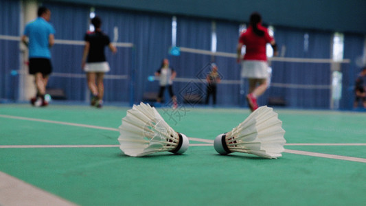 网球运动剪影体育馆打羽毛球GIF高清图片