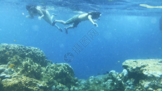 两个女人潜水GIF高清图片