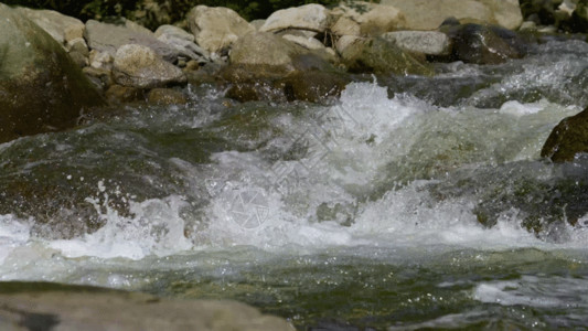 户外岩石实拍溪水流动GIF高清图片