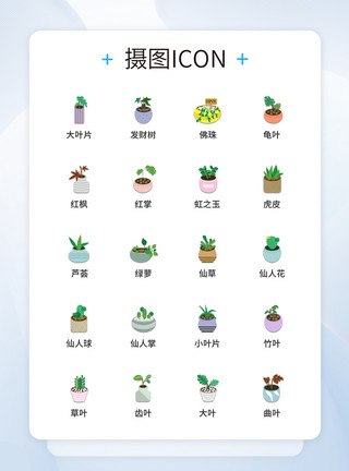 植物图标设计UI设计植物图标icon图标设计模板