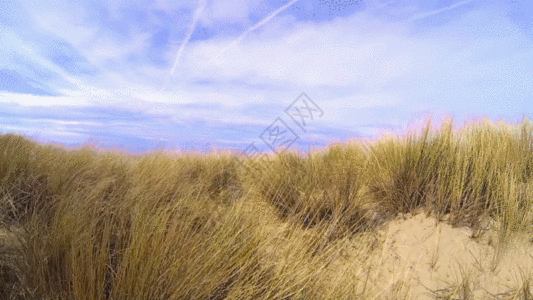 蓝天白云荒草沙漠GIF图片
