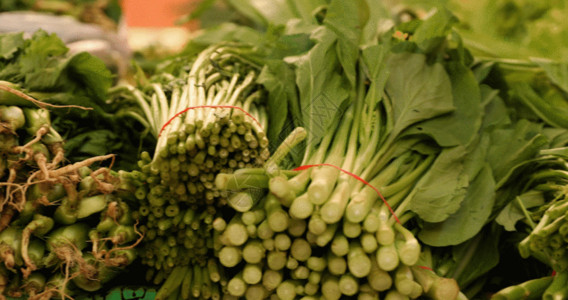 小白菜蔬菜蔬菜GIF高清图片