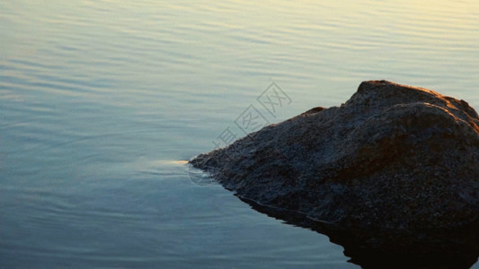 珍惜水资源新疆赛里木湖水面波纹石头GIF高清图片