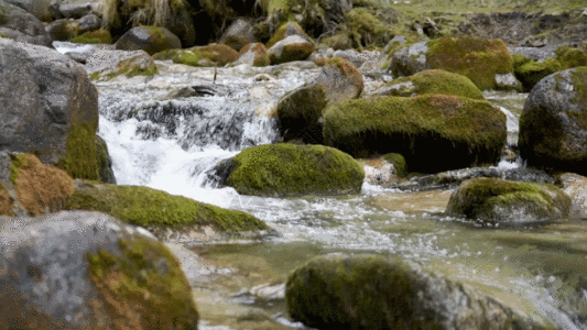 山涧溪流流水水资源森林GIF图片