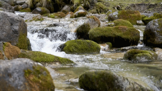 珍惜水资源山涧溪流流水水资源森林GIF高清图片